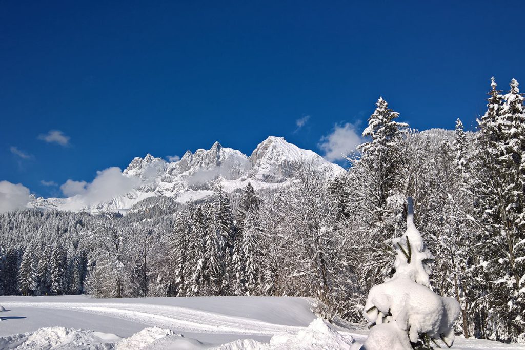 Winterliche Berglandschaft bei Going mit schneebedeckten Bäumen und gespurten Wanderwegen unter einem klaren blauen Himmel.