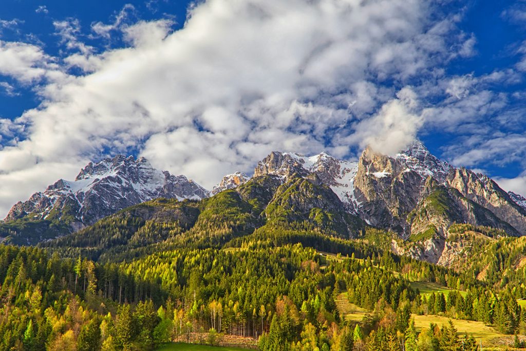 Herbstliche Wälder mit dem Wilden Kaiser Gebirge und schneebedeckten Gipfeln unter einem wolkenverhangenen Himmel.