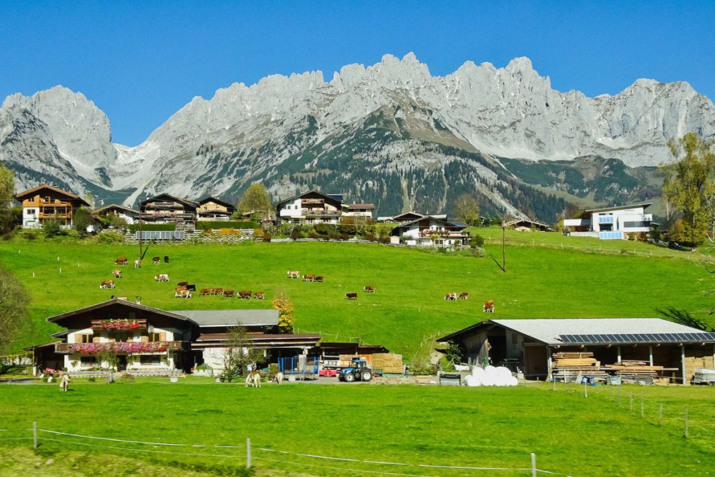 Idyllisches Dorf mit traditionellen Häusern und grünen Wiesen vor beeindruckender Bergkulisse des Wilden Kaiser, Kühe grasen unter klarem Himmel.